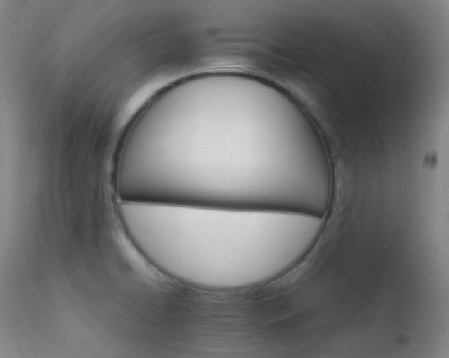 X0000111901422200907271146