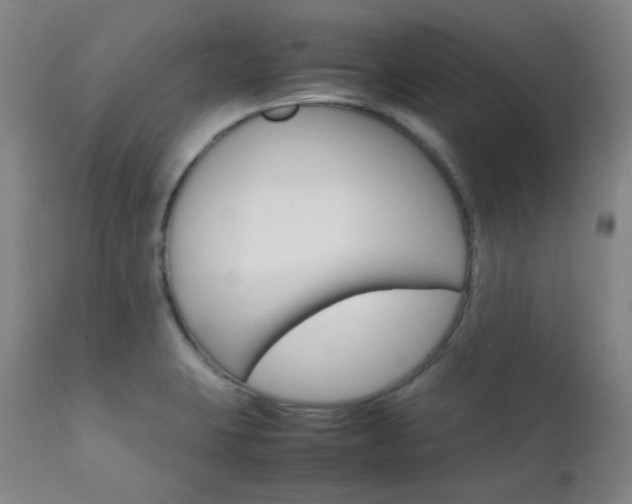 X0000111901423200907271146