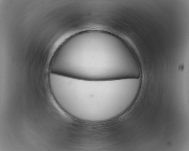 X0000111901424200907271146