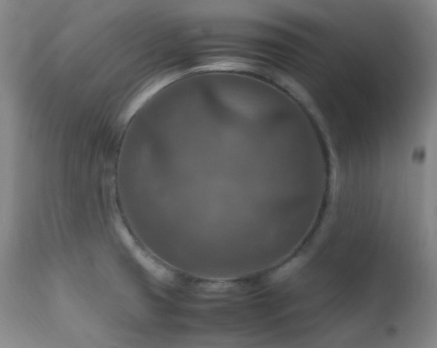 X0000111901425200907271146
