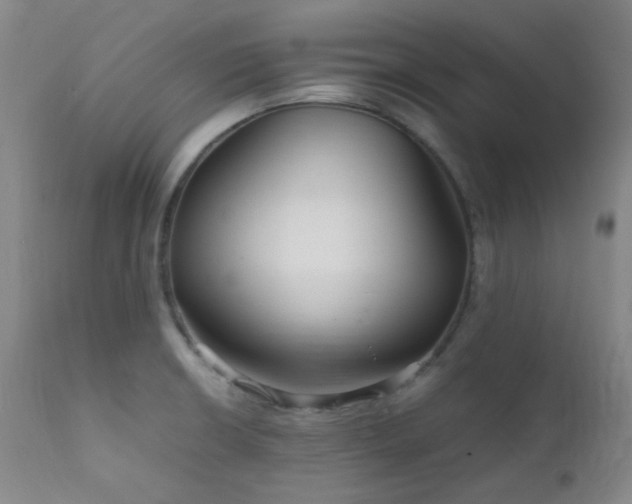 X0000111901426200907271146