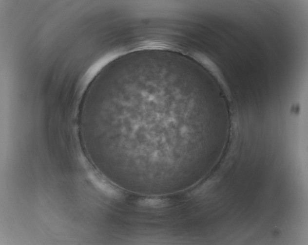 X0000111901427200907271147