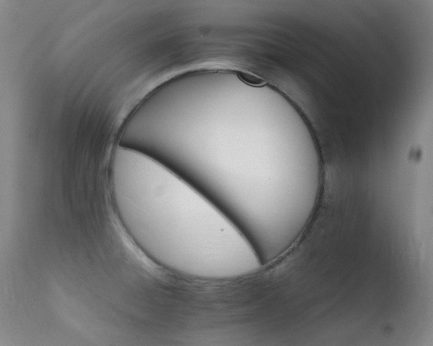 X0000111901428200907271147