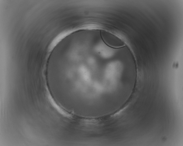 X0000111901429200907271147