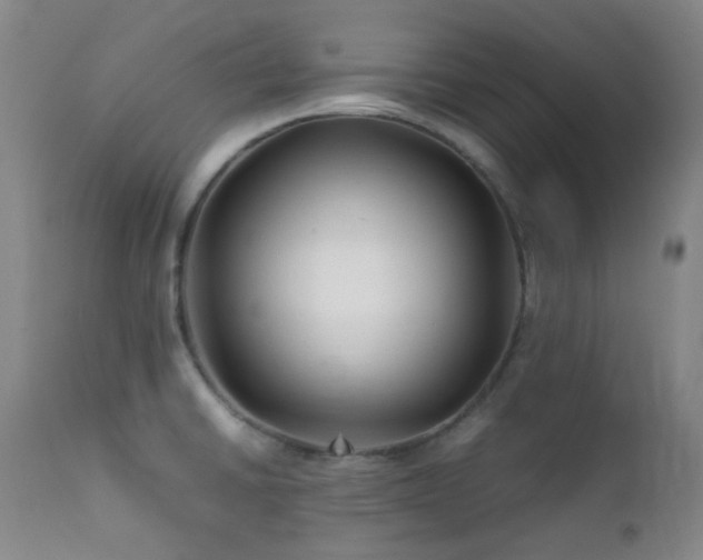 X0000111901430200907271147
