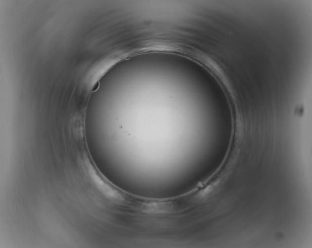 X0000111901433200907271147