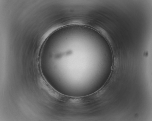 X0000111901435200907271147
