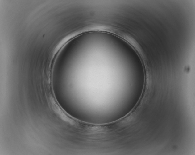 X0000111901436200907271147
