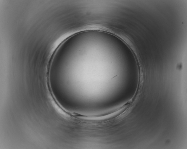 X0000111901438200907271147