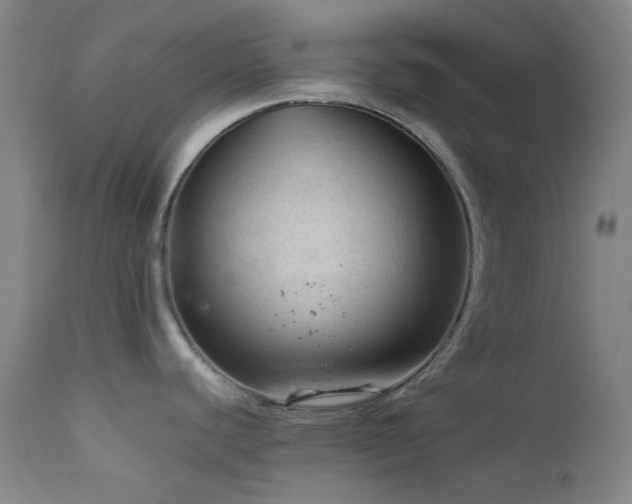 X0000111901440200907271147