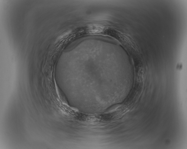 X0000111901441200907271146