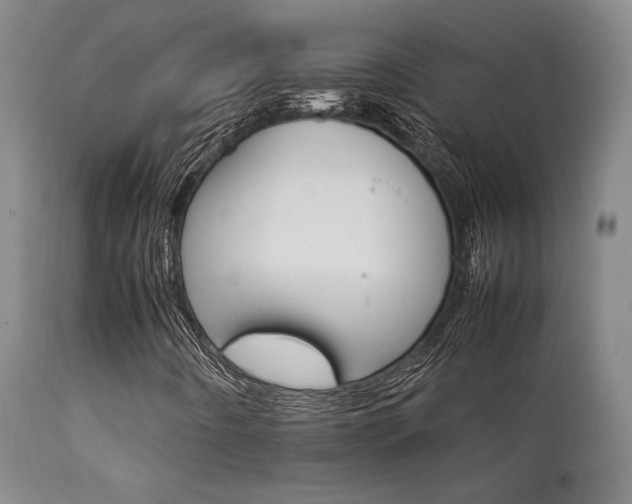 X0000111901442200907271146