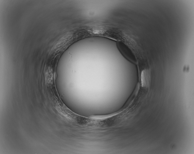 X0000111901443200907271146