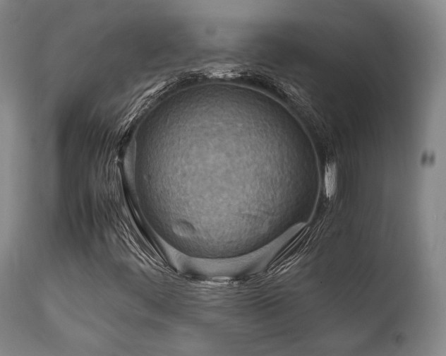 X0000111901444200907271146