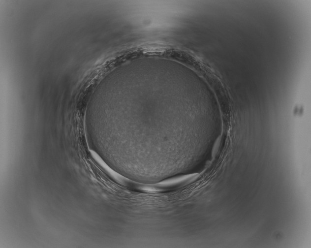 X0000111901445200907271146