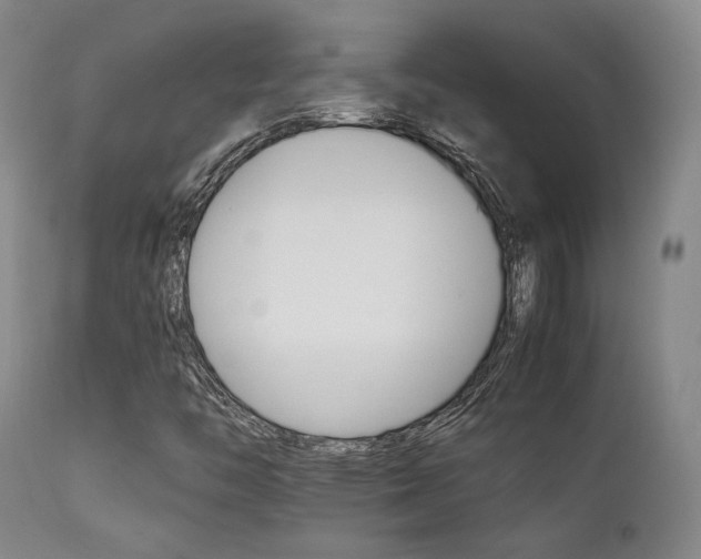X0000111901446200907271146
