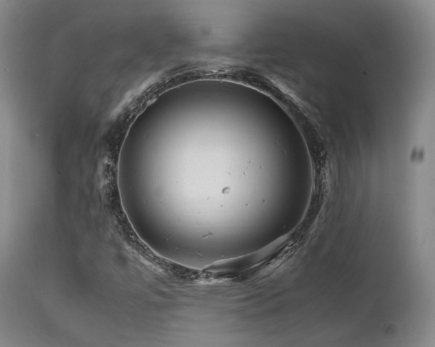 X0000111901447200907271146