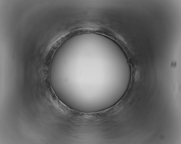 X0000111901448200907271146