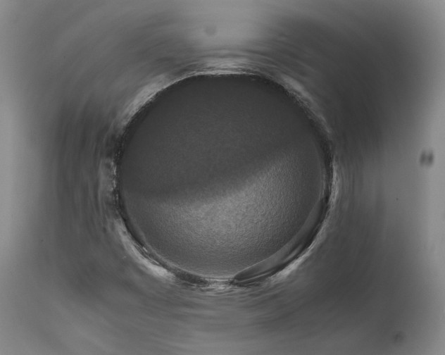 X0000111901449200907271146