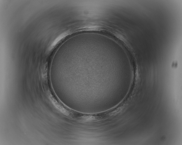 X0000111901450200907271146