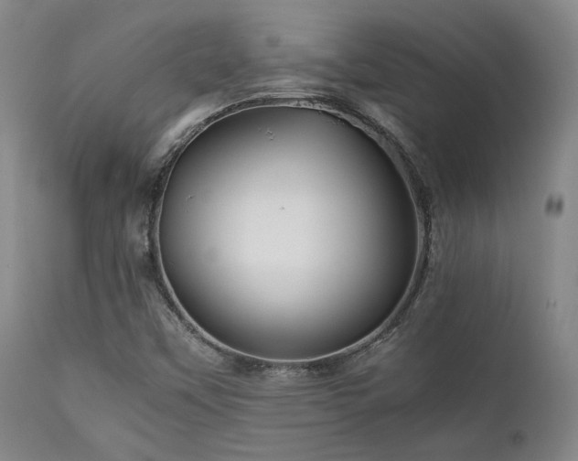 X0000111901451200907271146