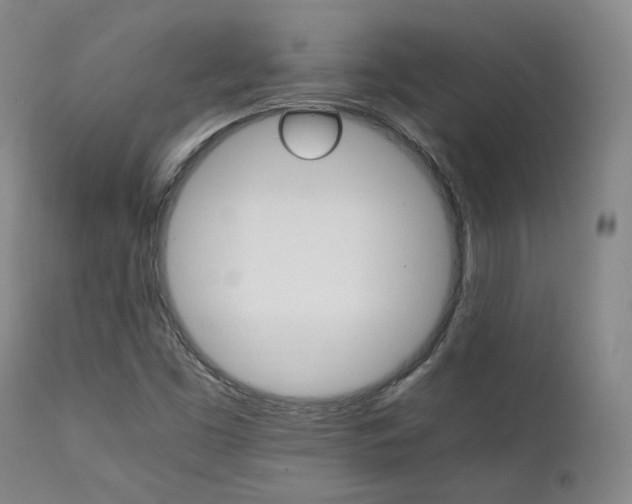 X0000111901453200907271146
