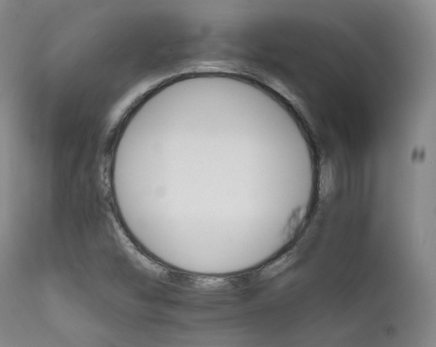 X0000111901454200907271146