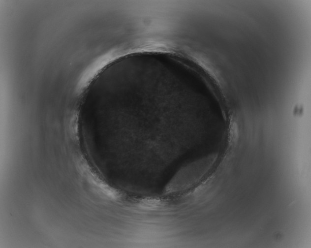 X0000111901455200907271146
