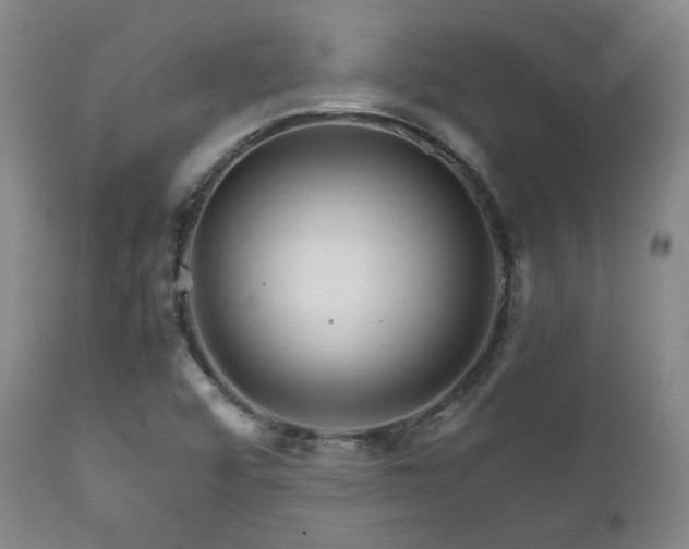 X0000111901456200907271146