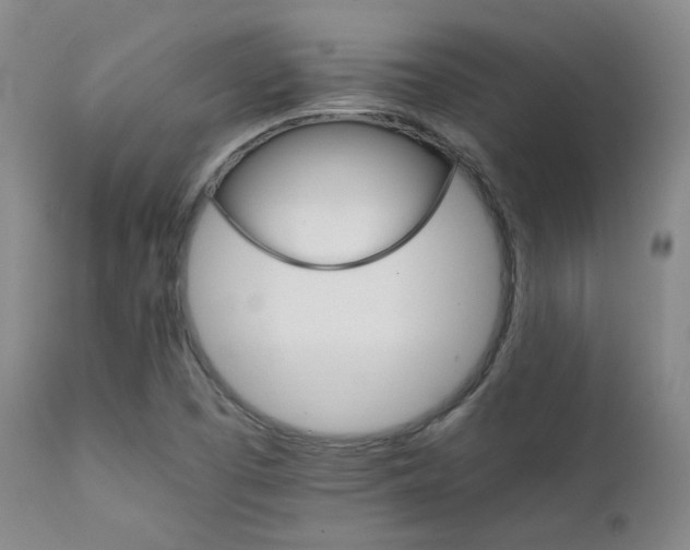 X0000111901457200907271146