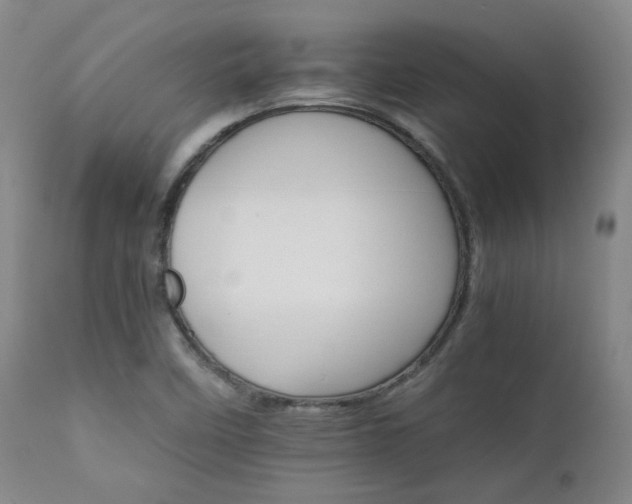 X0000111901458200907271146