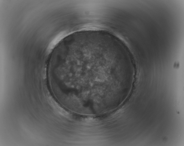 X0000111901459200907271146