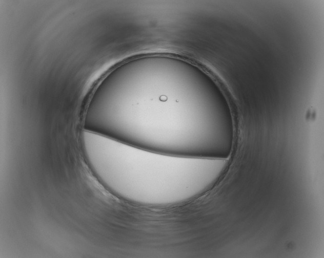 X0000111901460200907271146