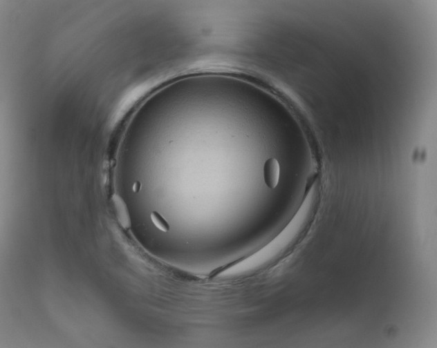 X0000111901461200907271146