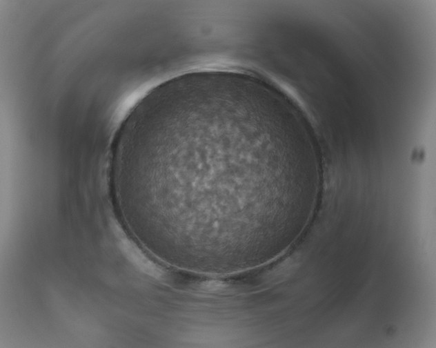 X0000111901463200907271146