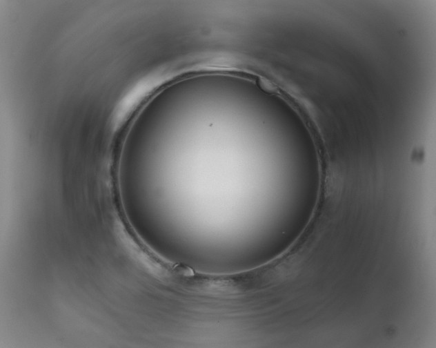 X0000111901464200907271146