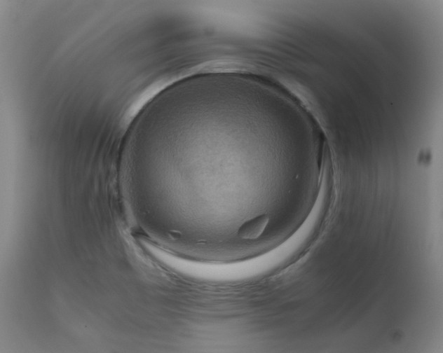 X0000111901465200907271146