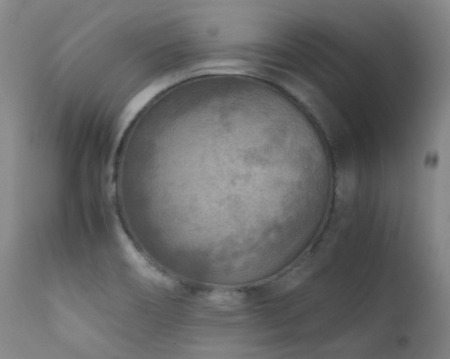 X0000111901466200907271145