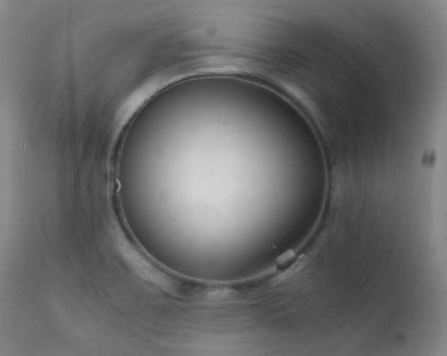 X0000111901467200907271145