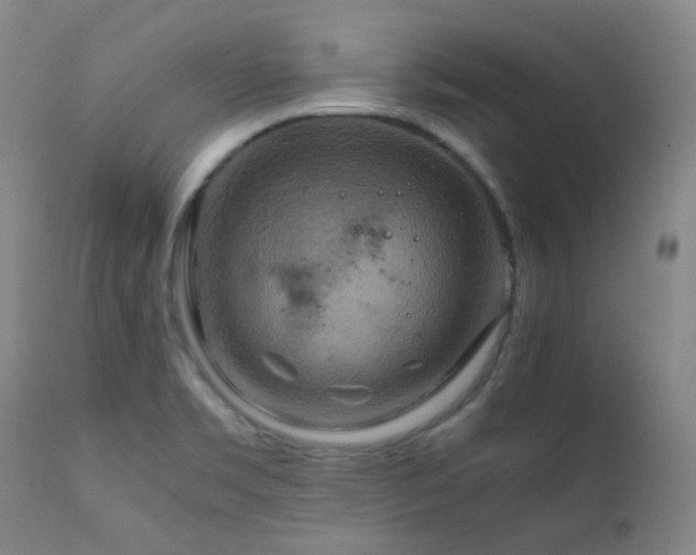 X0000111901469200907271145