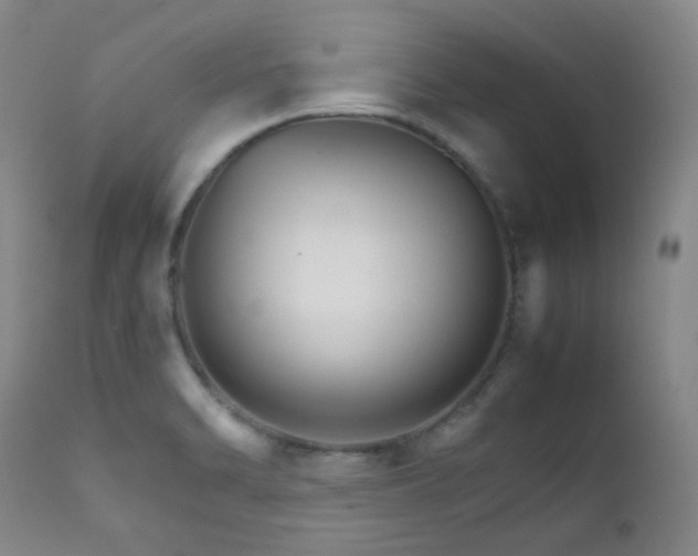 X0000111901470200907271145