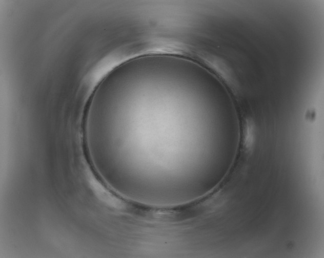 X0000111901471200907271145