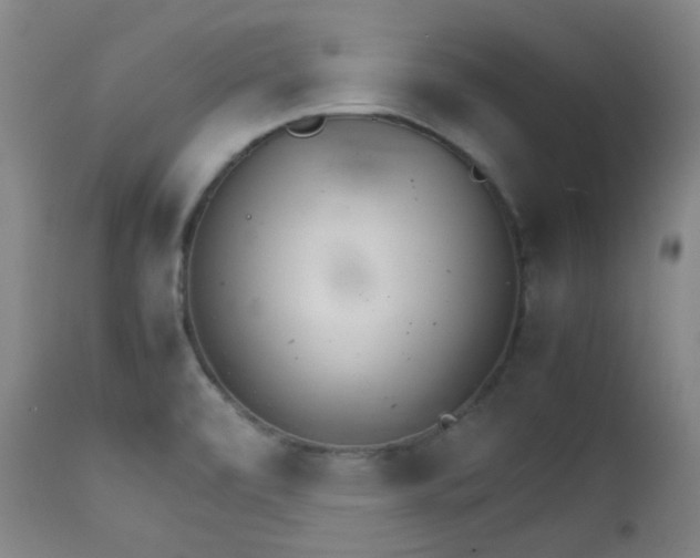 X0000111901472200907271145