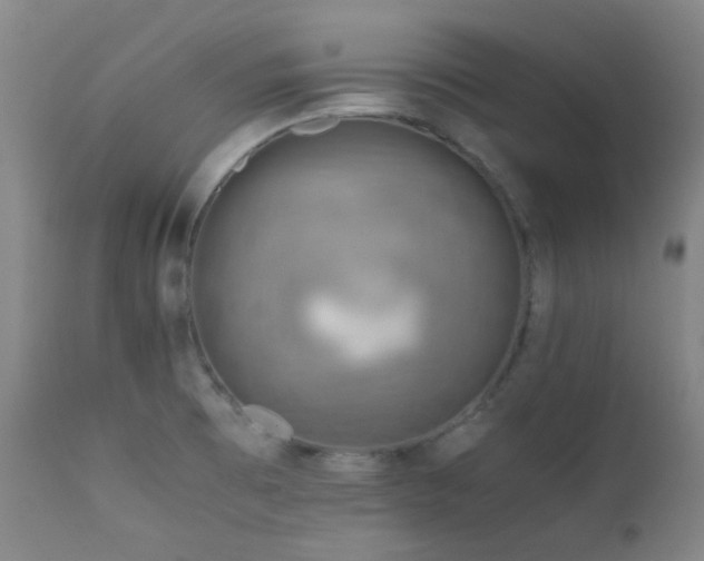 X0000111901473200907271145