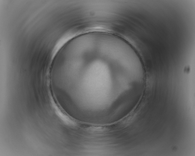 X0000111901474200907271145