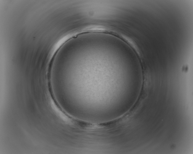 X0000111901475200907271145
