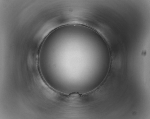 X0000111901476200907271145