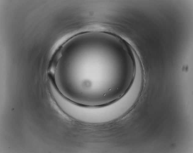 X0000111901477200907271145