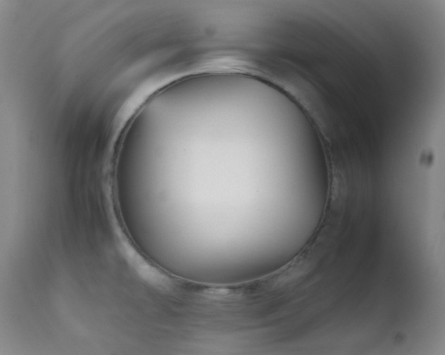 X0000111901478200907271145