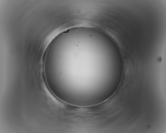 X0000111901479200907271145